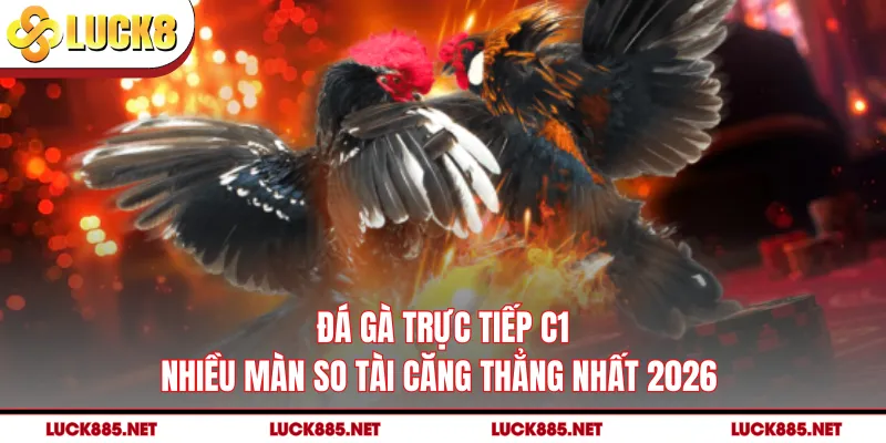 Đá Gà Trực Tiếp C1 - Nhiều Màn So Tài Căng Thẳng Nhất 2026