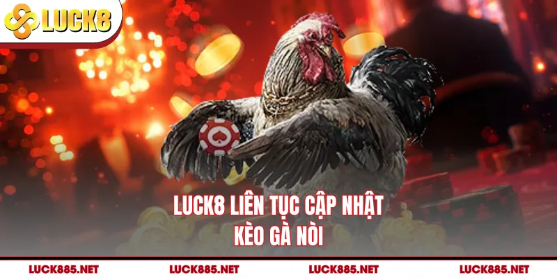 LUCK8 liên tục cập nhật kèo gà nòi