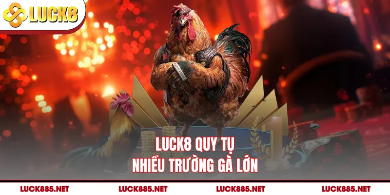 LUCK8 quy tụ nhiều trường gà lớn