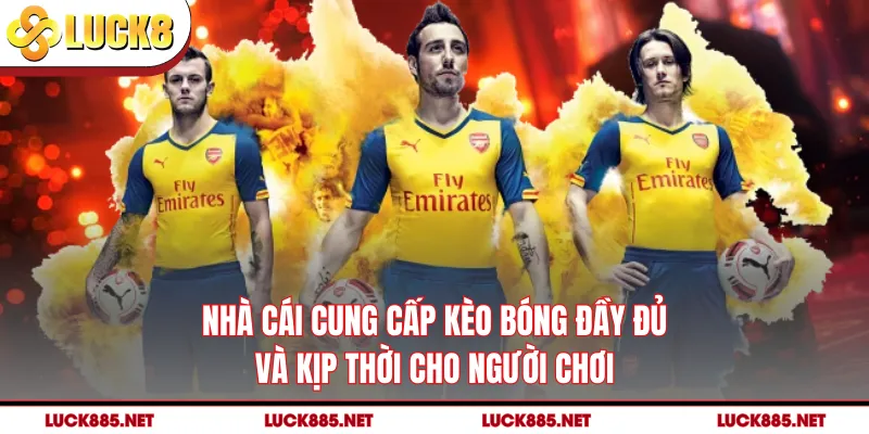 Nhà cái cung cấp kèo bóng đầy đủ và kịp thời cho người chơi