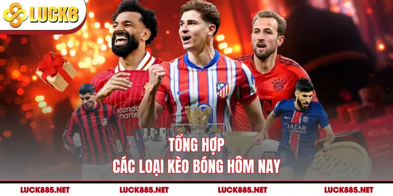 Tổng hợp các loại kèo bóng hôm nay